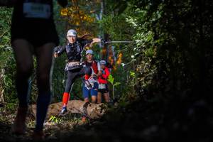 BIB: 
                            <button type="button" onclick="openModal(19230921)" class="btn btn-primary btn-sm float-right btn-popup" data-toggle="modal" data-target=".modal-high-quality">
                        <i class="fas fa-shopping-cart"></i> Add to Cart
                    </button>
                                            <button type="button" onclick="isThisMe(19230921, true)" class="btn btn-success btn-sm float-right btn-popup btn-isme hidden" data-toggle="tooltip" data-placement="bottom" title="นี่คือรูปของคุณใช่ไหม คลิกที่นี่เพื่อเอาเข้าอัลบั้ม">
                        <i class="fas fa-plus"></i> Add to album
                    </button>
                    <button type="button" onclick="isThisMe(19230921, false)" class="btn btn-warning btn-sm float-right btn-popup btn-isnotme hidden">
                        <i class="fas fa-ban"></i> Remove from album
                    </button>